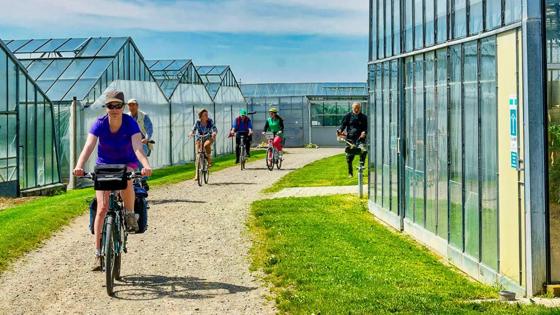 Velo Milieu Serres Lac Constance - Allemagne