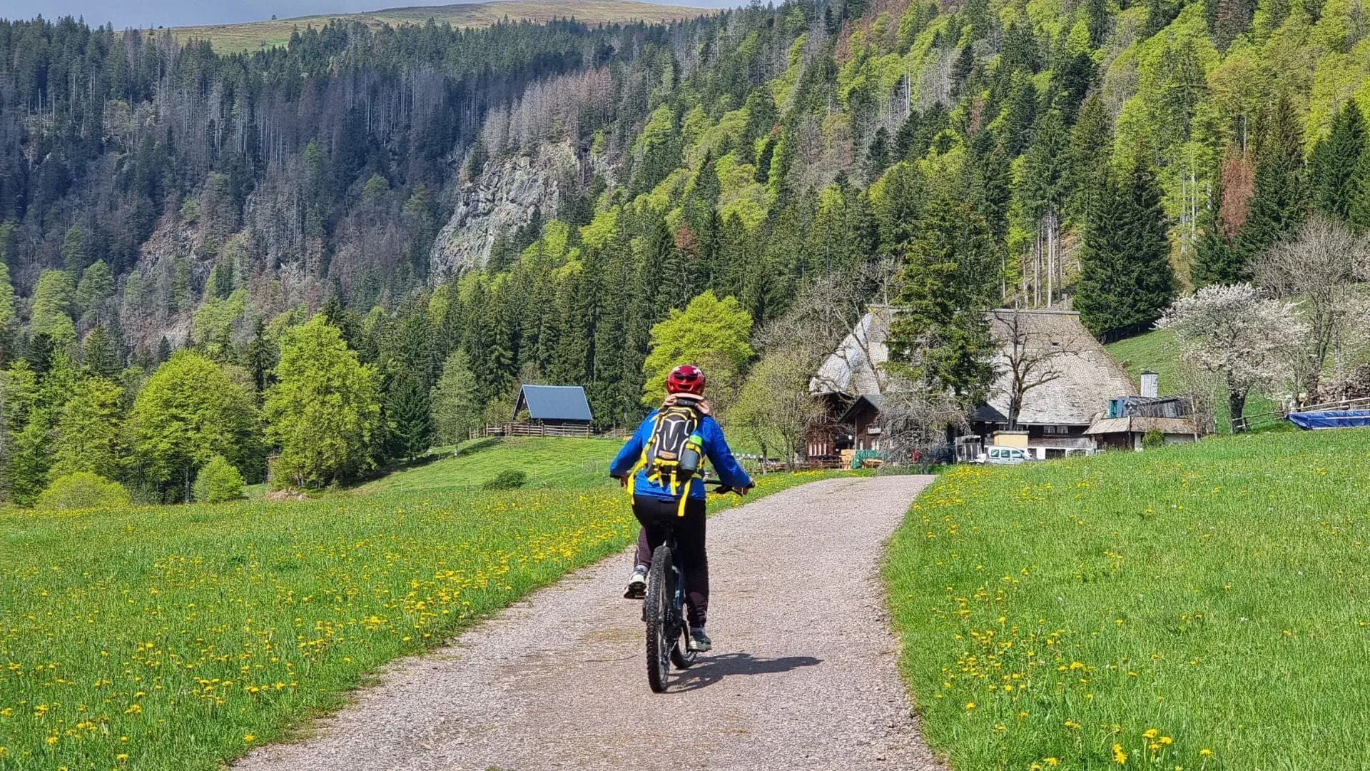 Balade à vélo sur les sentiers de la Forêt-Noire - Allemagne