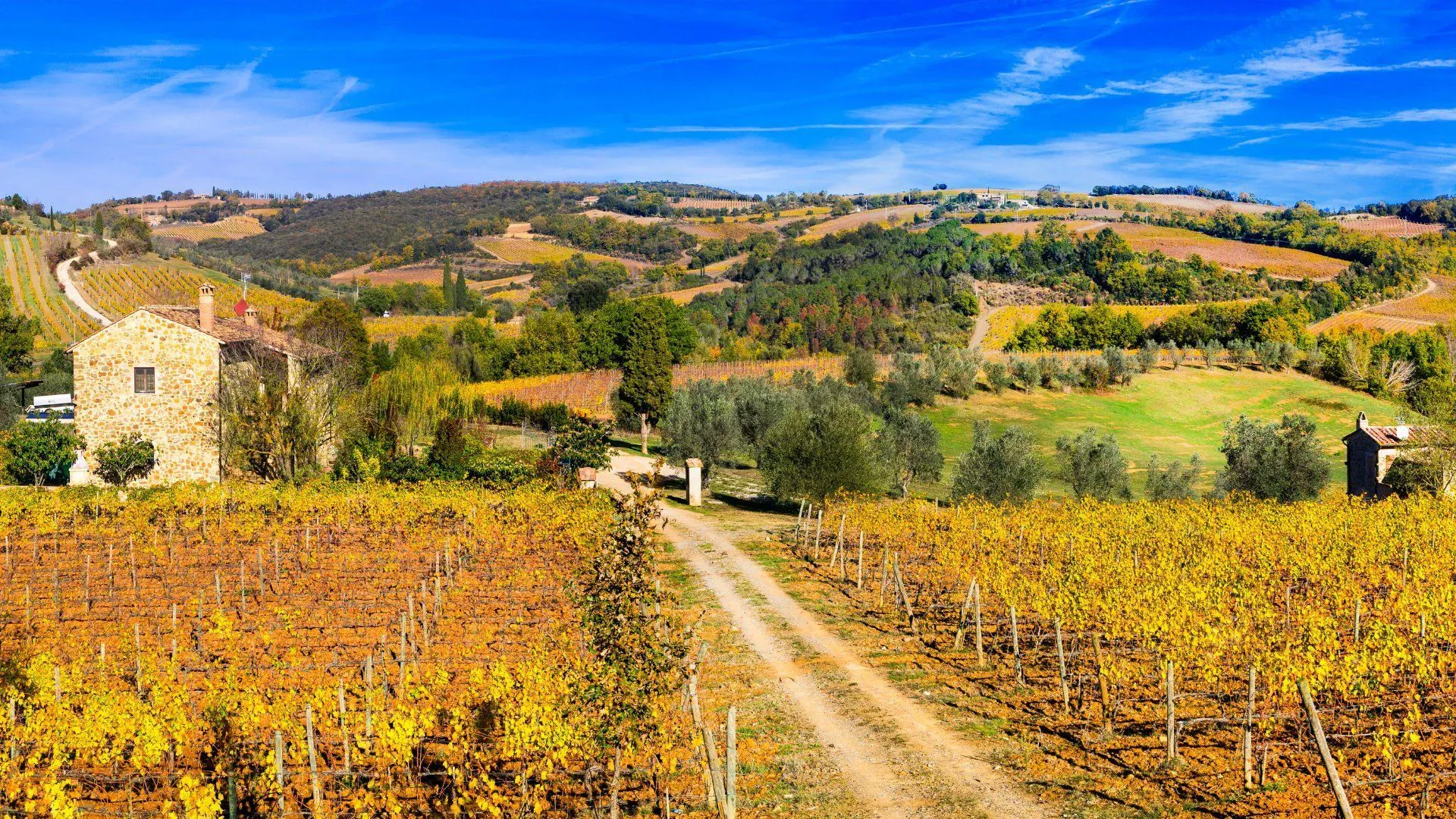 Velo sur chemin forestier face aux Dolomites - Italie