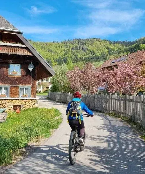 Balade à vélo dans les vignes - Val de Loire - France