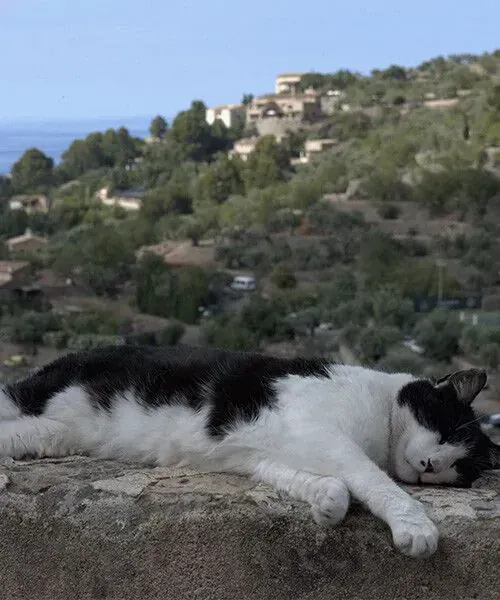 Cycliste au bord d'un lac - Voyage vélo en famille © Cyril Torterotot