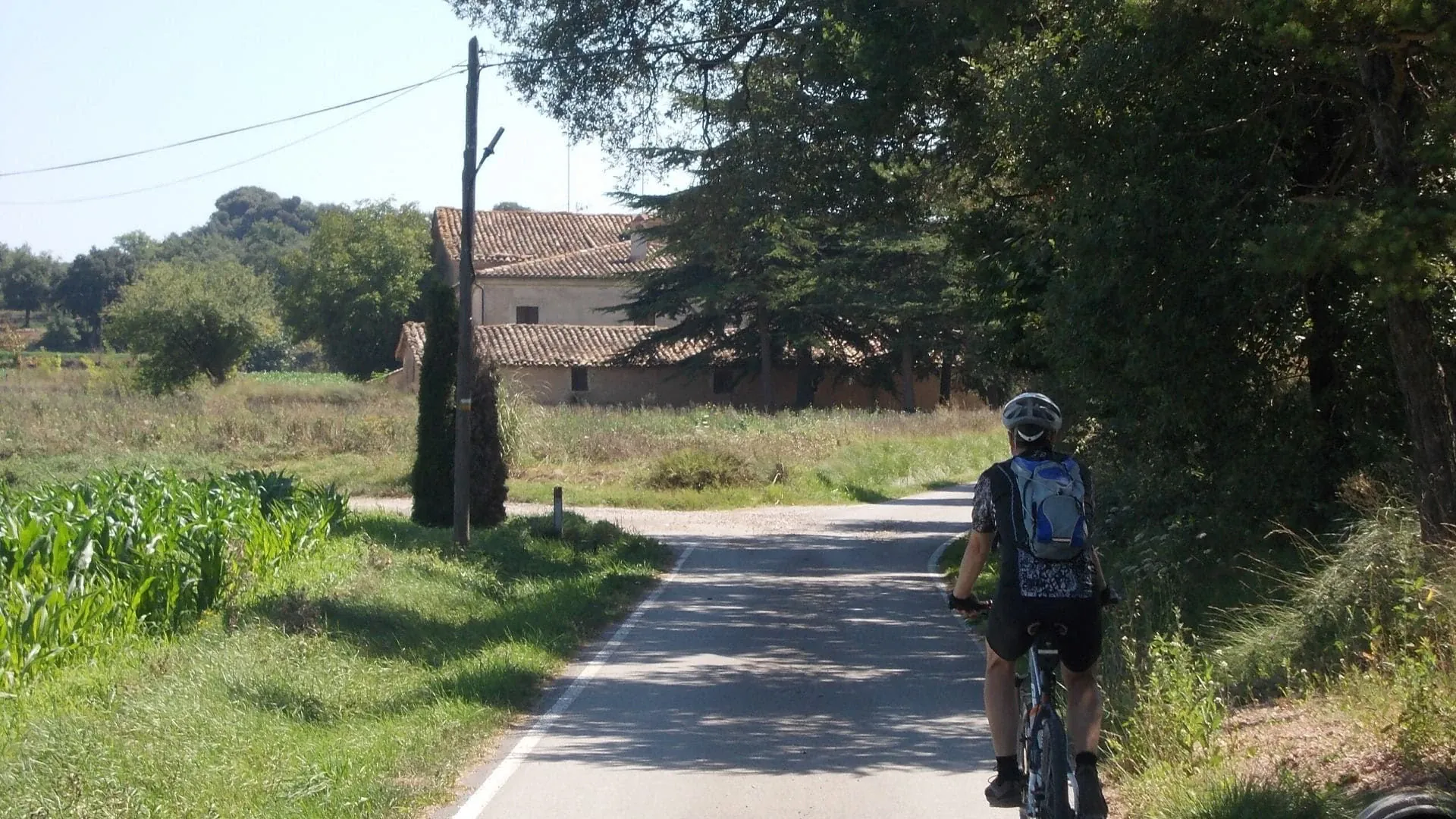 Cycliste Dans La Campagne De Catalogne En Espagne - Catalogne