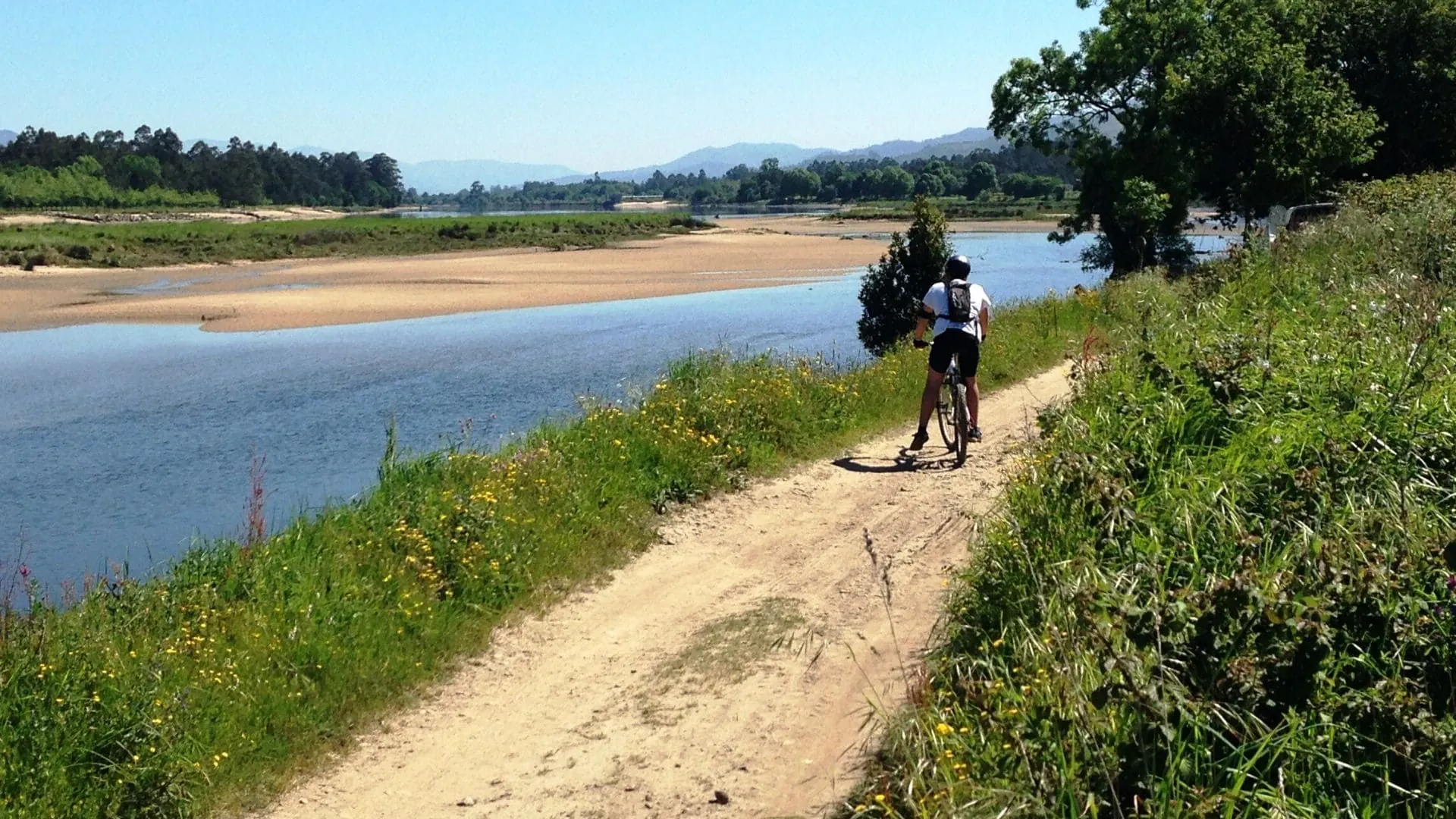 Cycliste Dans La Campagne Portugaise - Portugal