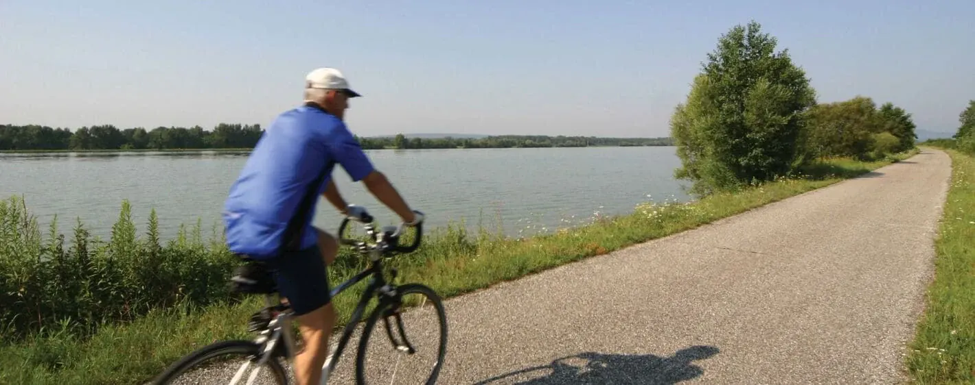 Cycliste Pres Hainburg Long Danube - Autriche