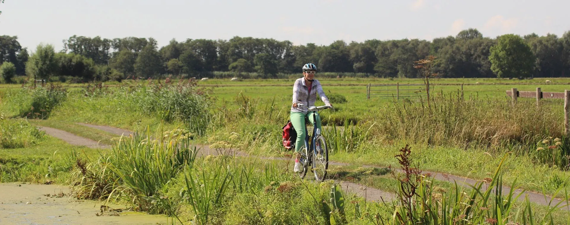 Cycliste Route Sud Hollande - Pays-Bas