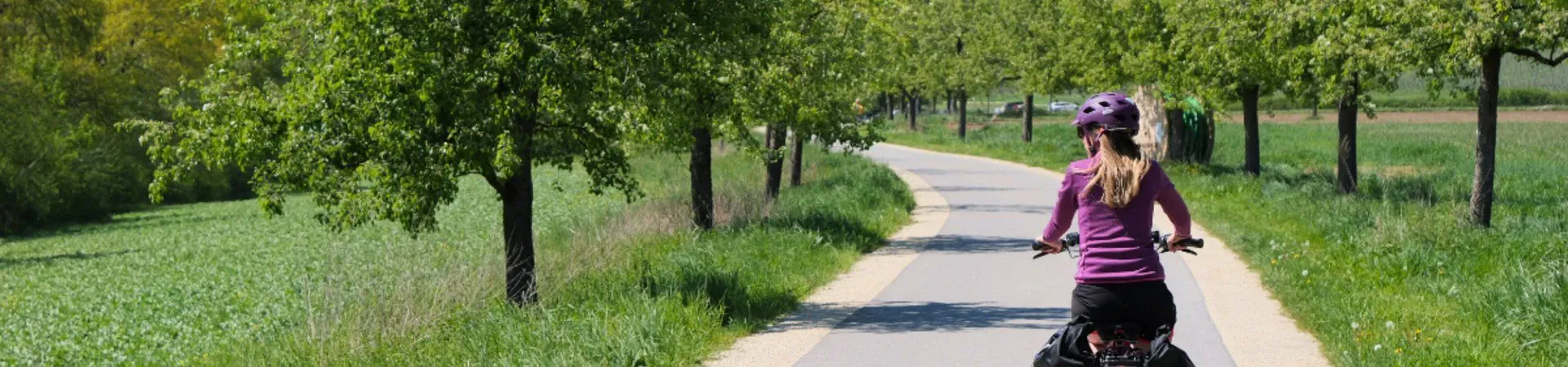 Cycliste avec sacoches sur piste cyclable bordee d'arbres - Campagne