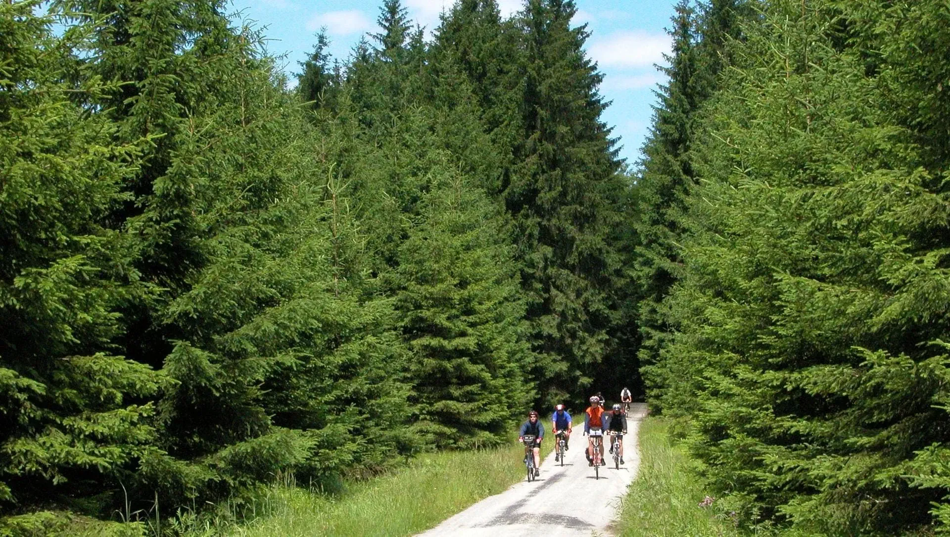 Cyclistes A Regensburg C Europe Bike Tour - Tchéquie