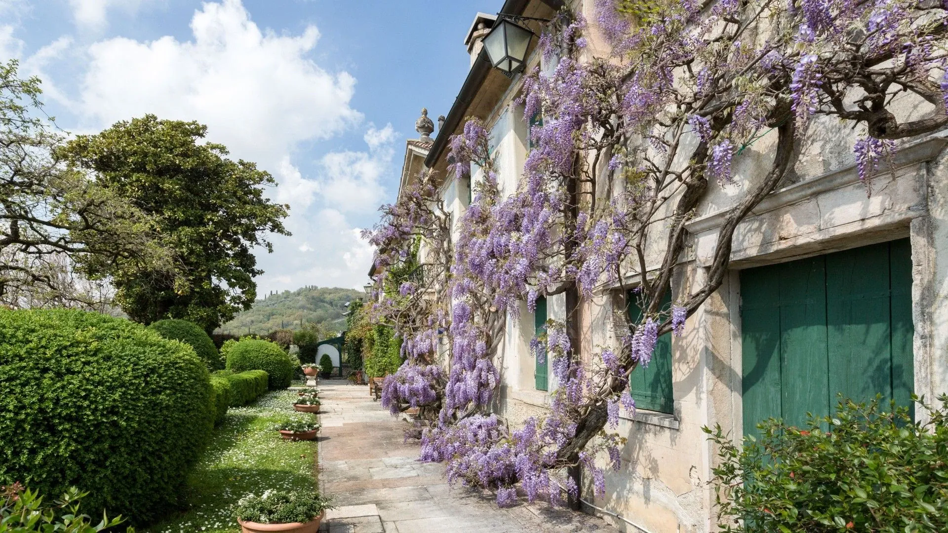 Cyclistes parmi les cerisiers en fleurs - Venetie - Italie