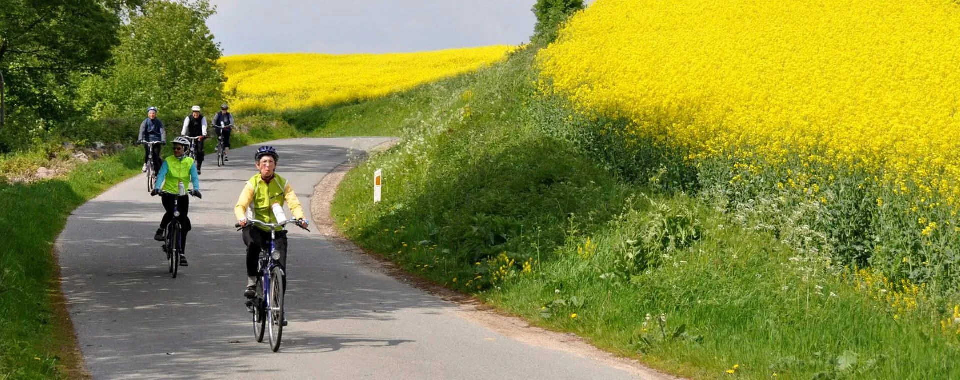 Cyclistes Bord Champs Danermark - Danemark