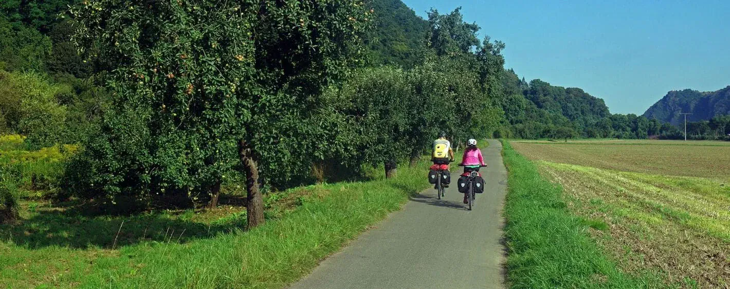 Cyclistes Entre Andernach Bonn - Allemagne