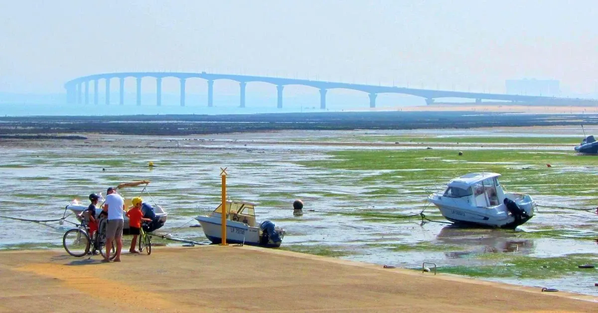 La Vélodyssée de La Rochelle à Royan, la côte Atlantique nature | Grand Angle