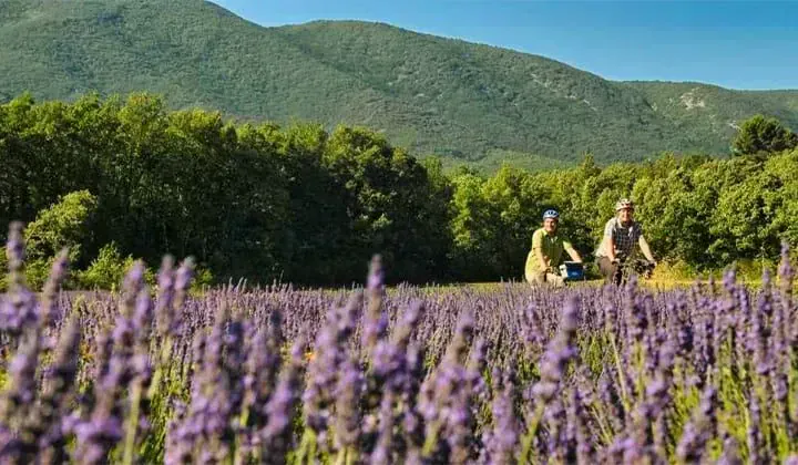 Cyclistes dans le Luberon - Provence - France