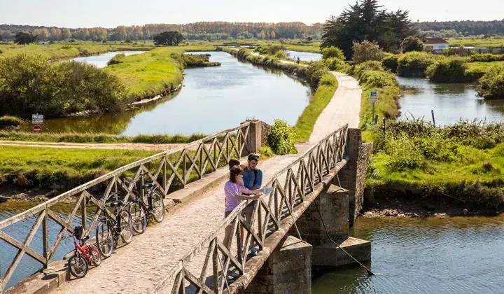 Cyclistes dans les marais de l'île d'Olonne - Vendée - France