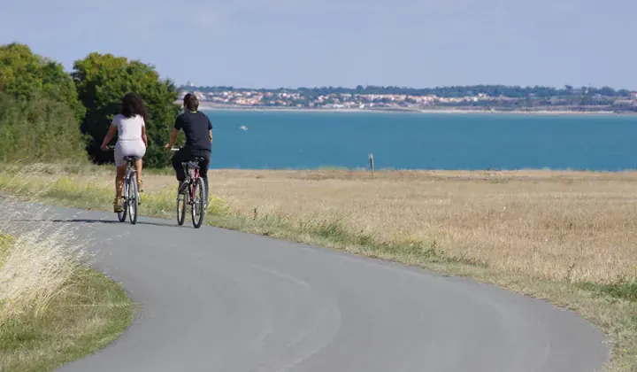 Cyclistes sur l'île de Ré - Charente-Maritime - France