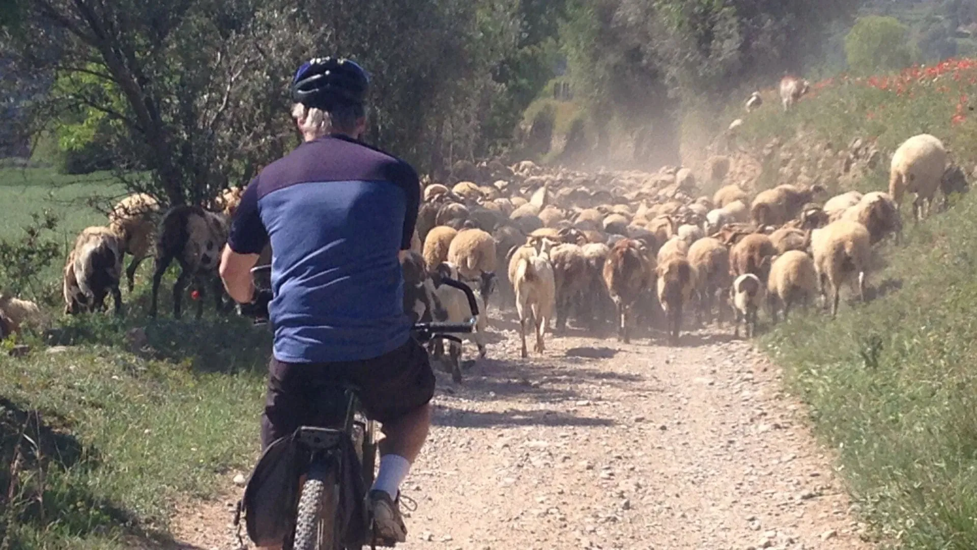 Cyclistes Sur Les Chemins Entre Vic Et Barcelone - Espagne