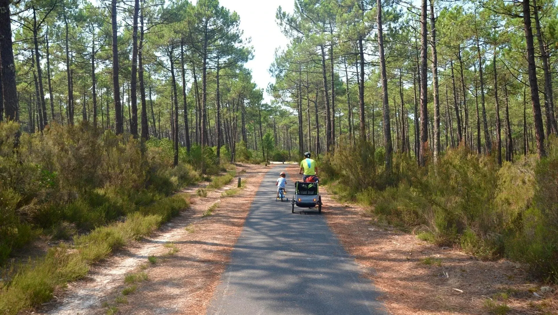Cyclistes Sur Piste Cyclable Entre Maubuisson Et Lacanau - France