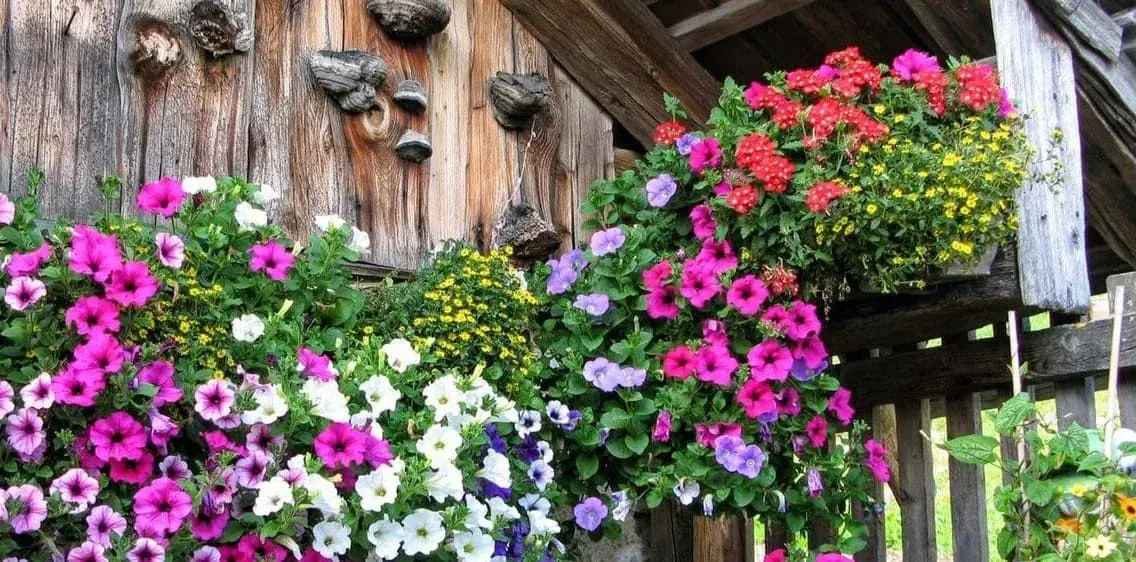 Dachstein 1 - Autriche