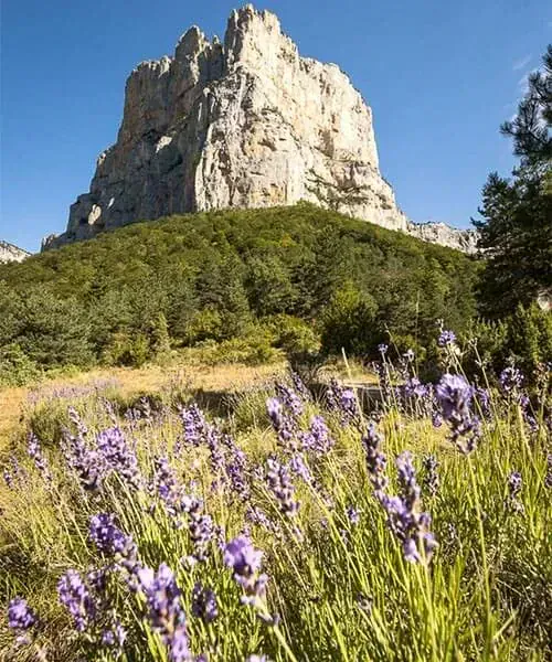 Dans Le Cirque D Archiane