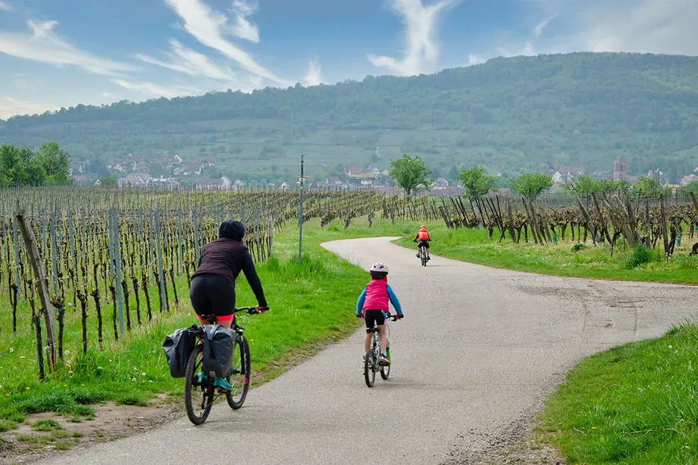 Dans Les Vignes Alsaciennes A Velo En Famille C Quentin Vanaker - France © Quentin Vanaker