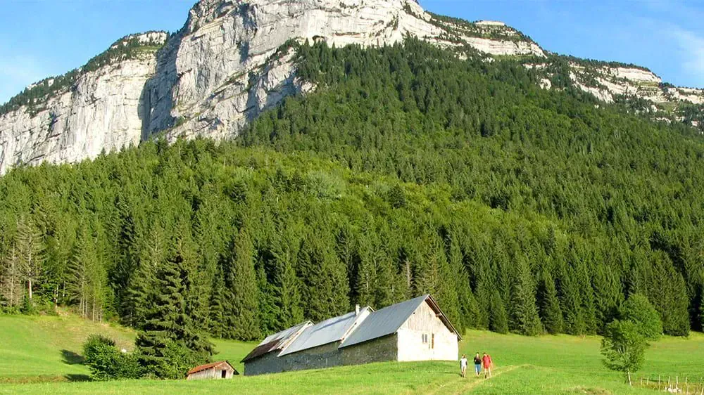 Paysage du Danube - Allemagne © Se Tours