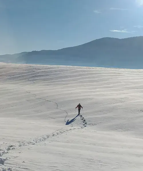 Plaine de Darbounouse en hiver - Vercors - France