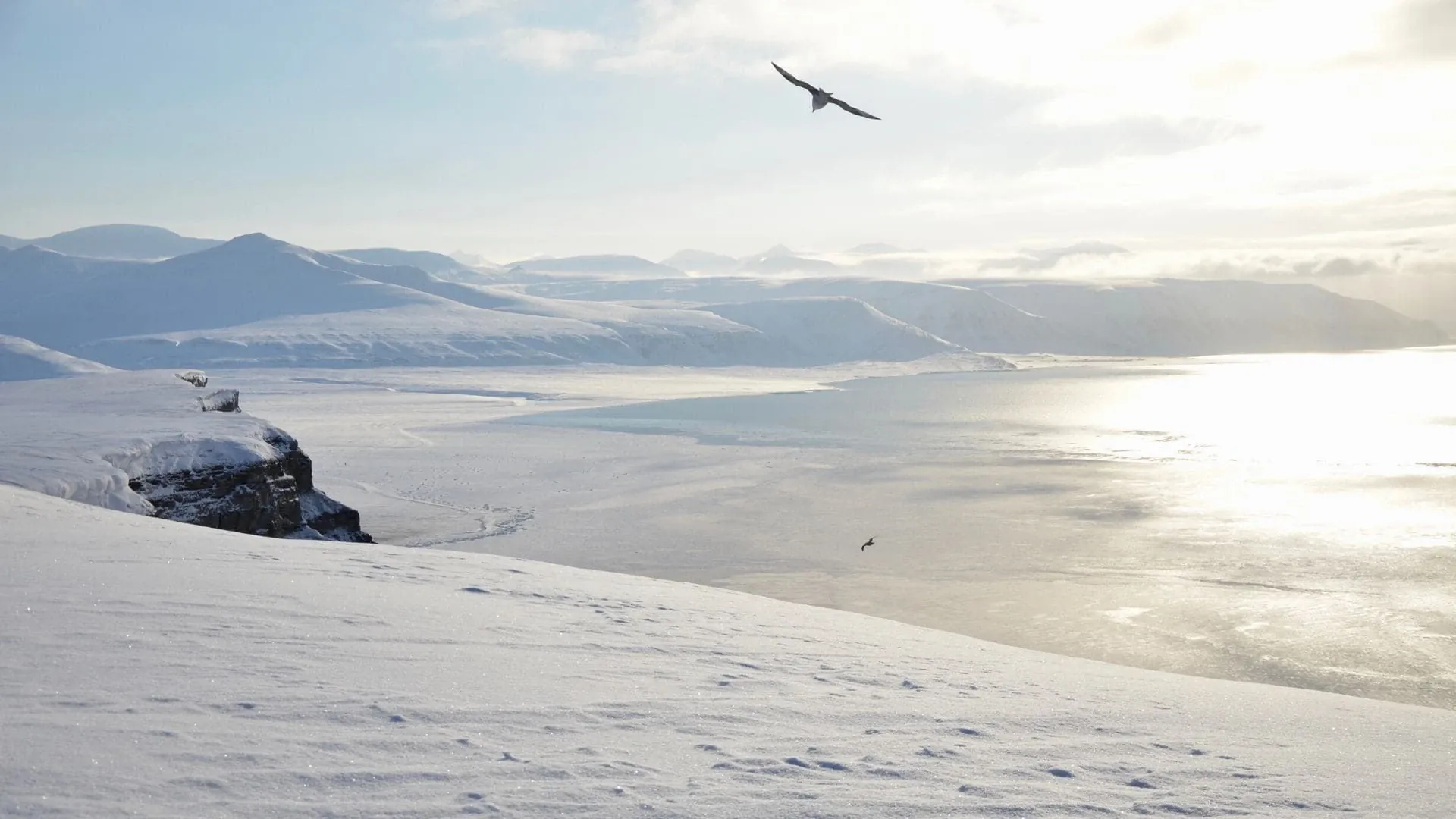 De La Glace A Perte De Vue - Norvège