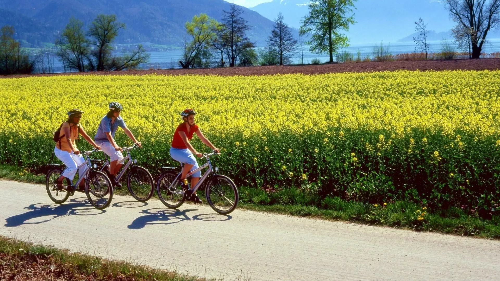 Des Cyclistes Sur La Route Des Lacs En - Suisse © Christof Sonderegger
