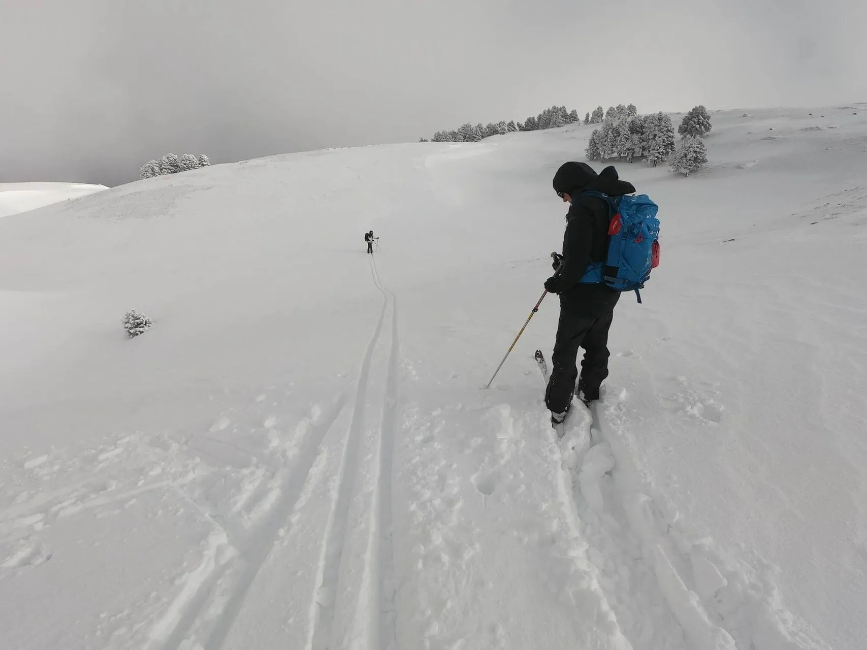Descente Au Pas Des Econdus Vercors C David Praire Min - Vercors - France