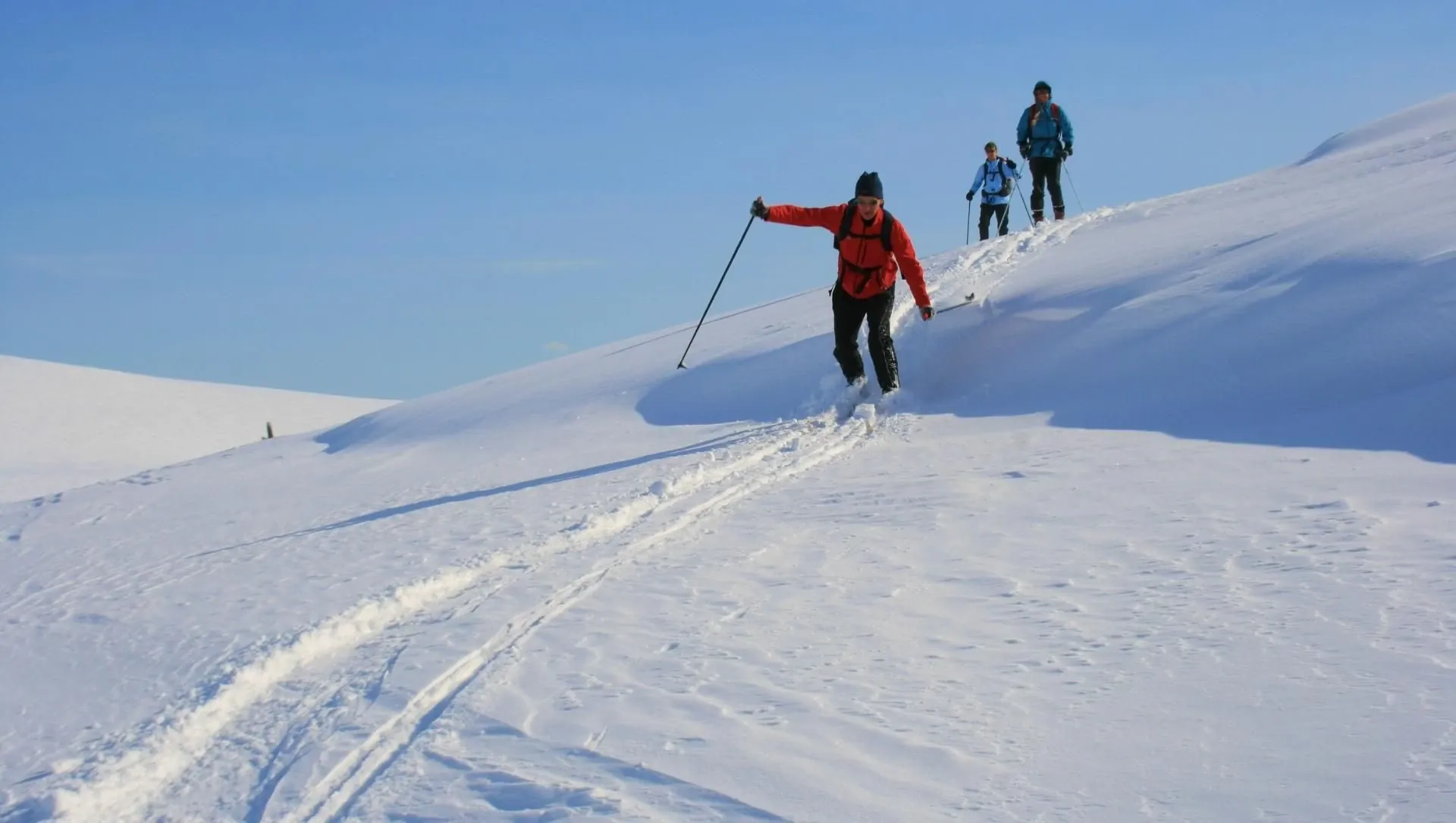 Descente En Ski De Randonnee Nordique En Laponie Finlandaise - Laponie - Finlande