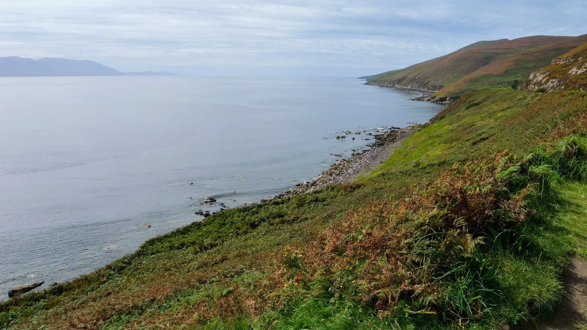 Port de Dingle - Kerry - Irlande