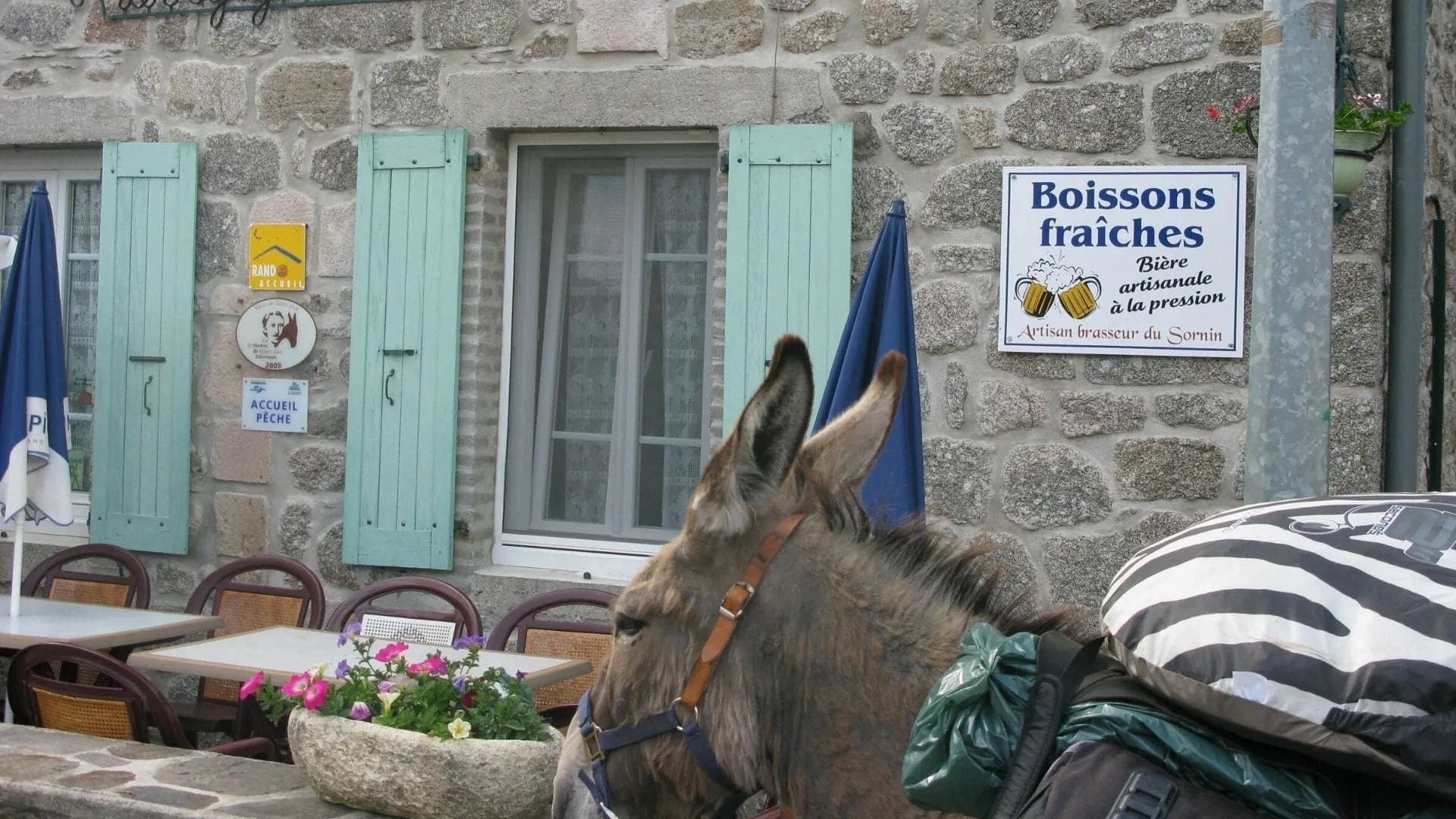 Âne sur Inishmore - Îles d'Aran - Irlande