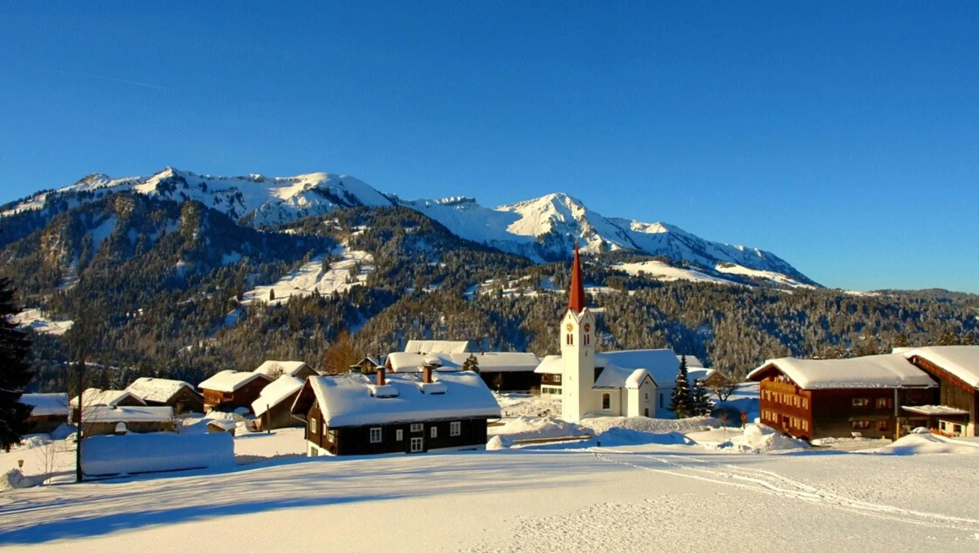 Dsc00581 Sibra Peter Hagspiel Neu - Autriche