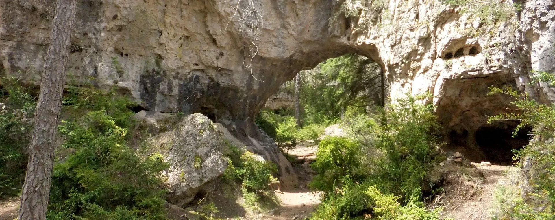 Arche de la péninsule de Dyrhólaey - Sud - Islande
