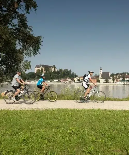 E-Biken am Donauradweg bei Grein © Oesterreich Werbung, Peter Burgstaller