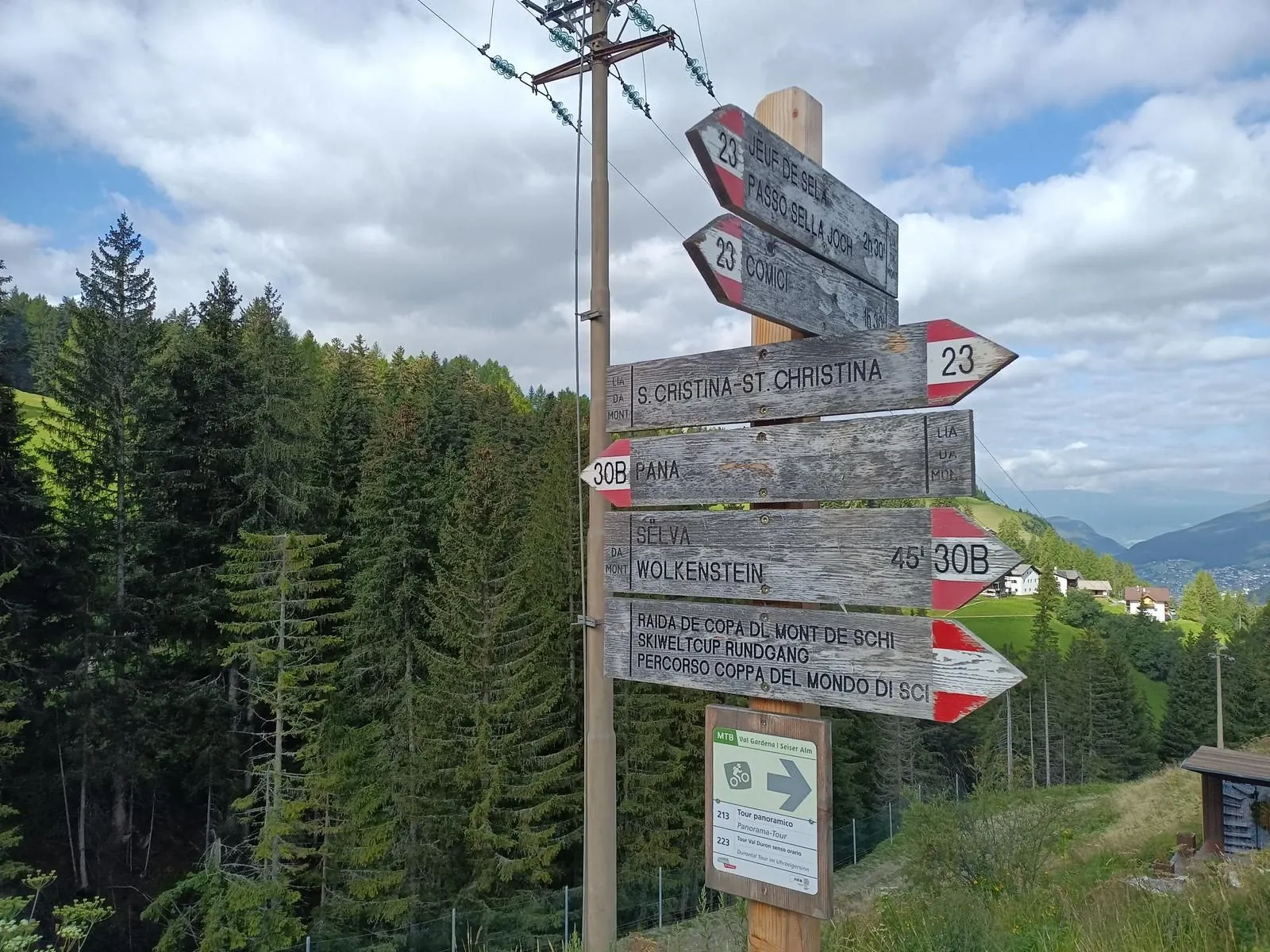 Vignobles de l'Émilie-Romagne - Parme à Bologne - Italie