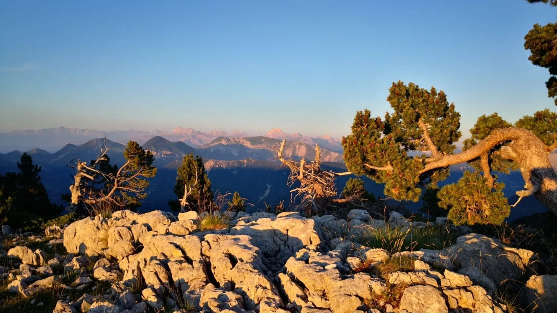 Fin de journée sur les Hauts Plateaux du Vercors - France