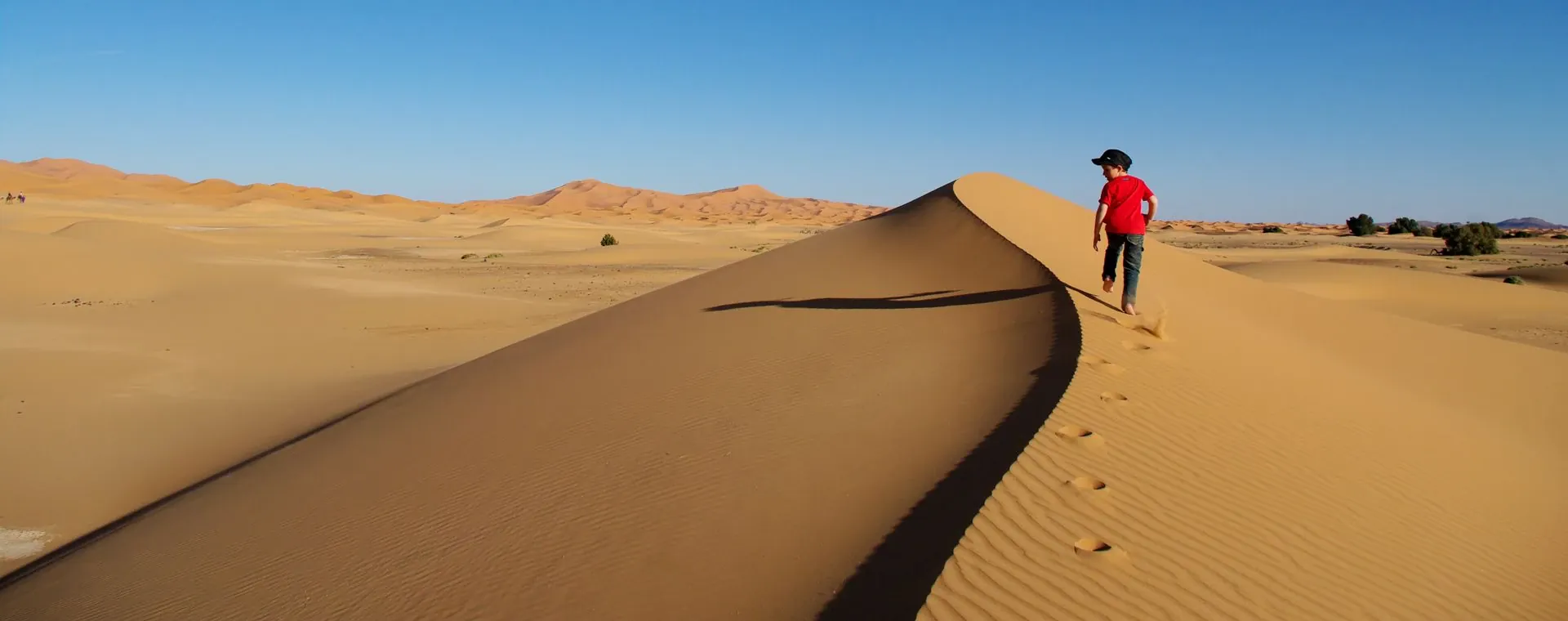 Enfant Dune Desert Sud Marocain