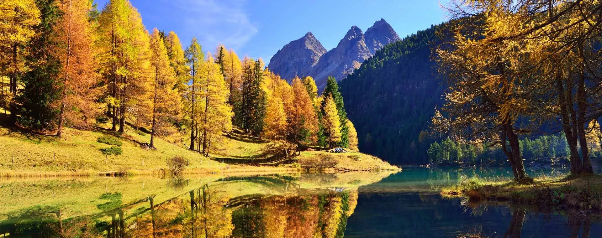 Engadine Foret - Suisse