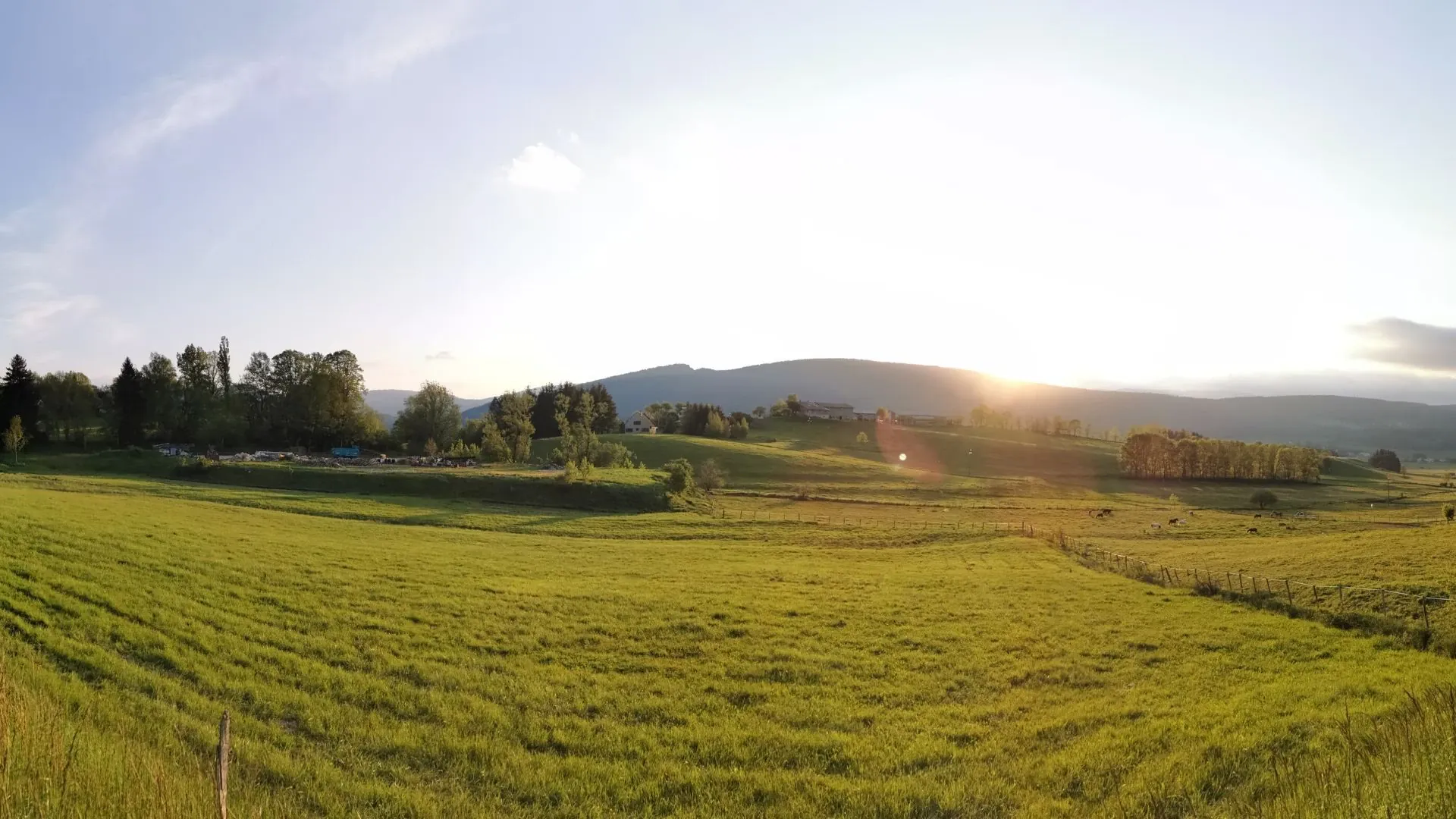 Entre Lans En Vercors Et Villard De Lans - Vercors - France