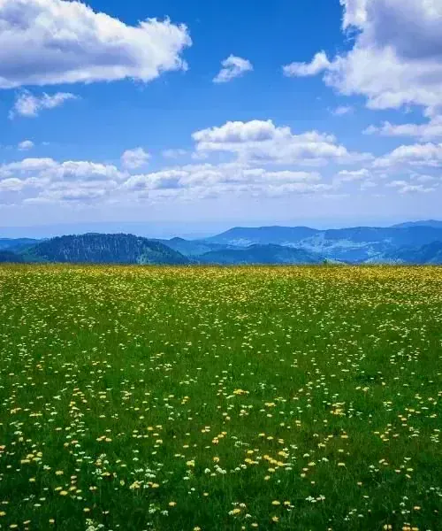 Basilique d'Esztergom sur le Danube - Hongrie - esztergom-basilica-on-the-danube-hungary-2