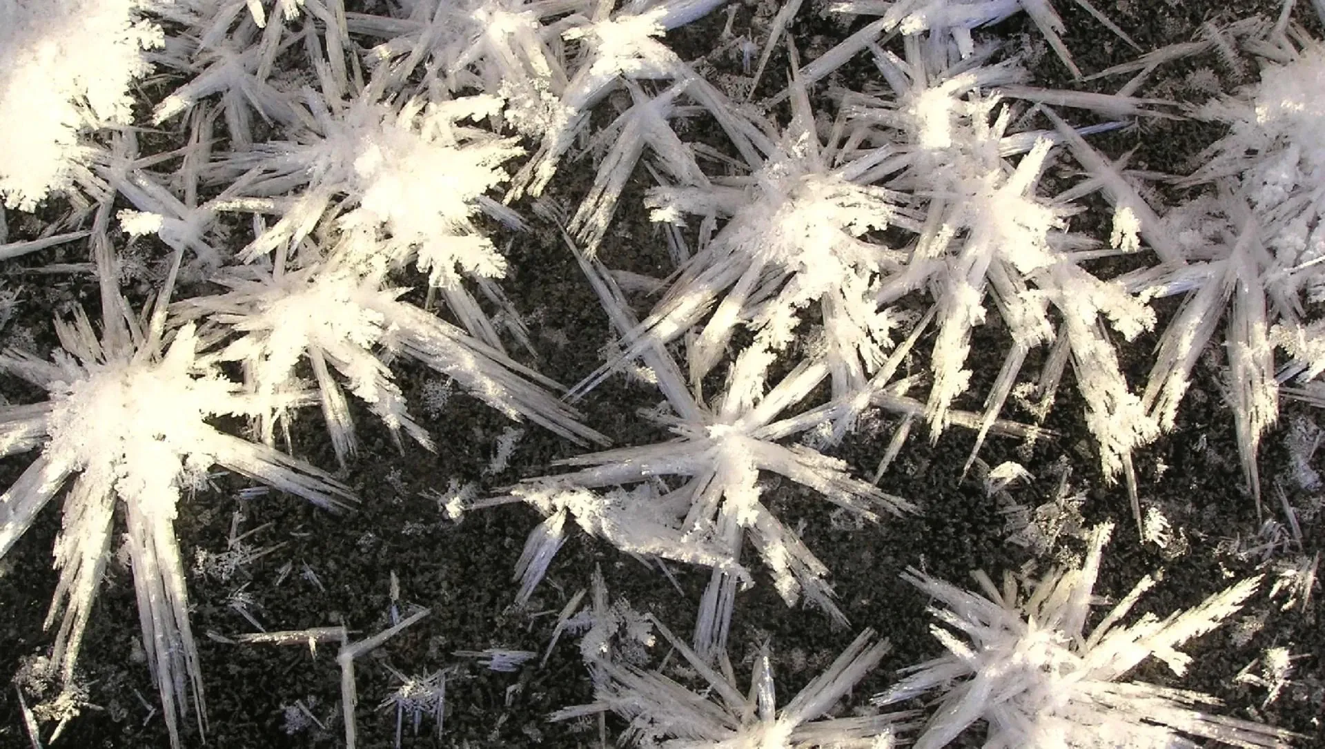 Etoiles De Givre Sur Un Lac Gele En Laponie Finlandaise - Laponie - Finlande