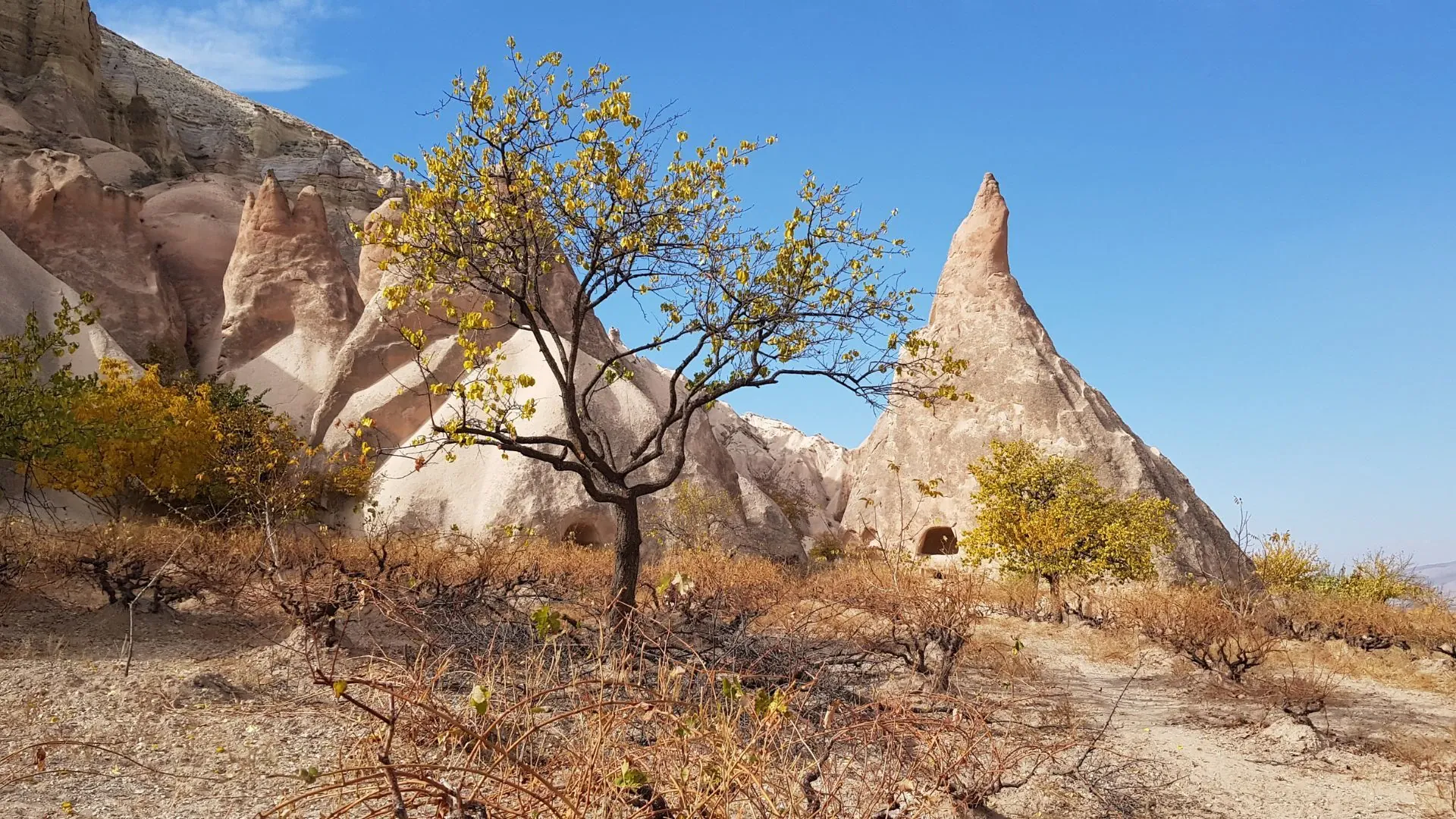 Cheminées de fées et habitations troglodytes - Cappadoce - Turquie
