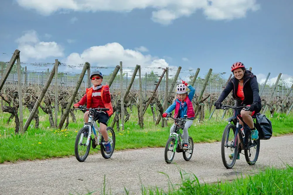 Famille A Velo En Alsace C Quentin Vanaker - France © Quentin Vanaker