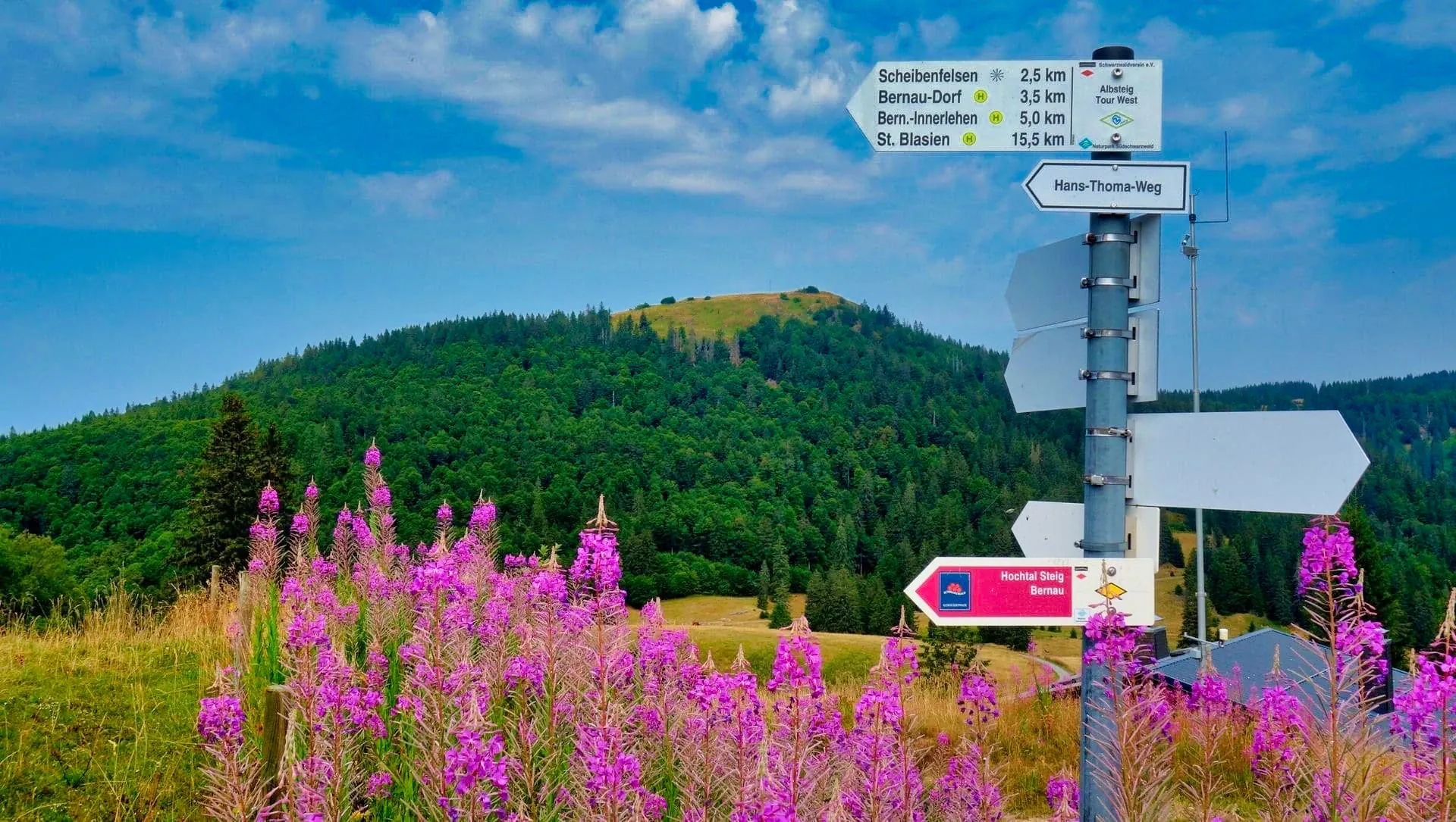 Feldberg C Raymond Chabanier - Allemagne © Raymond Chabanier