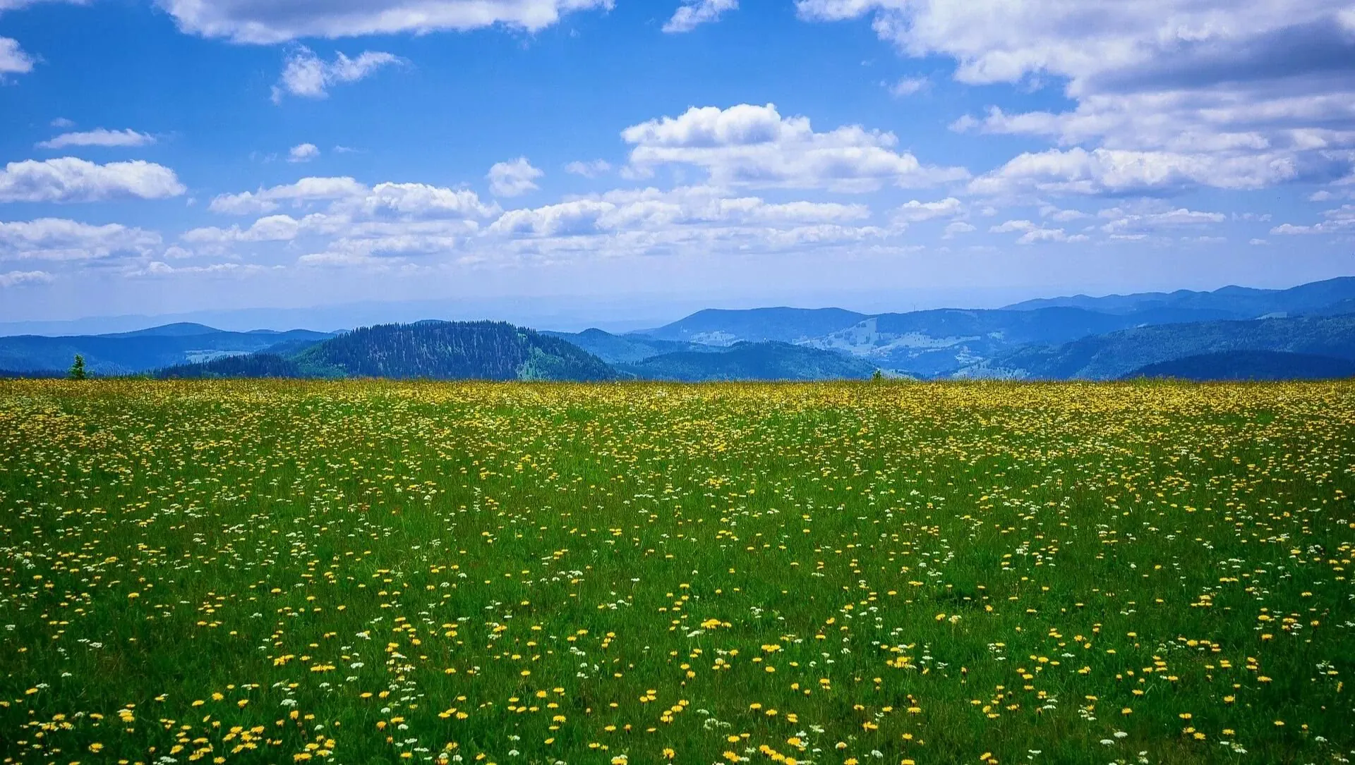 Feldberg - Allemagne