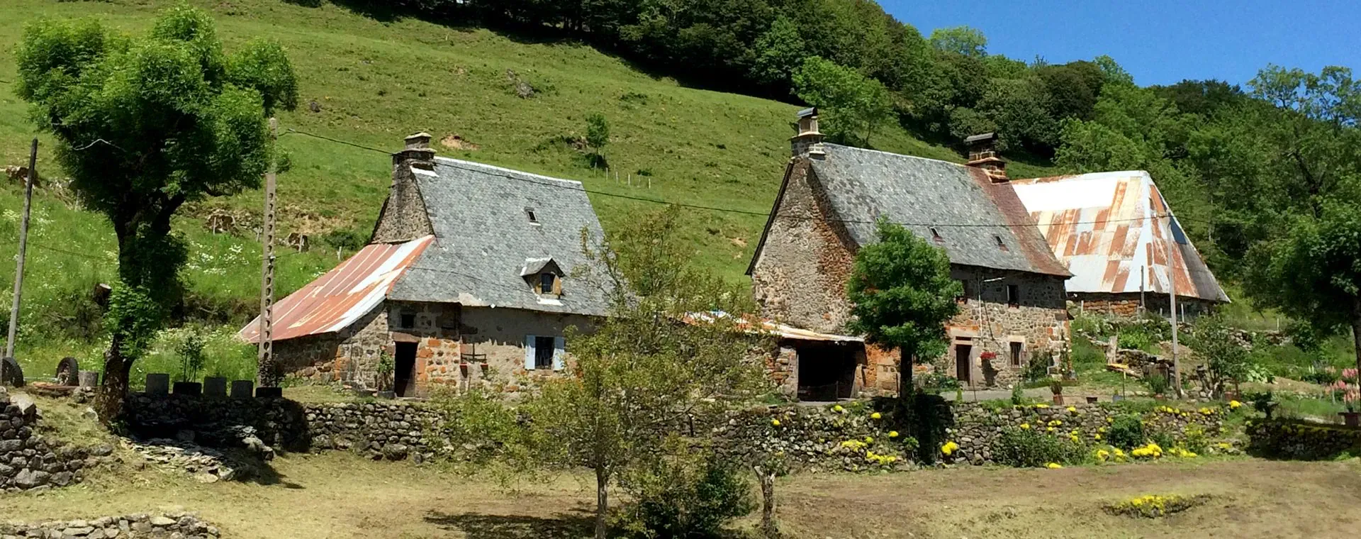 Ferme Cantal - France
