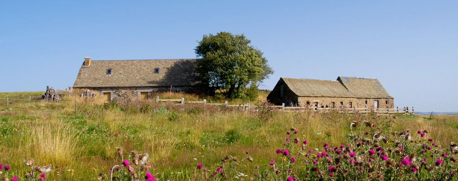 Fermes Massif Central - France