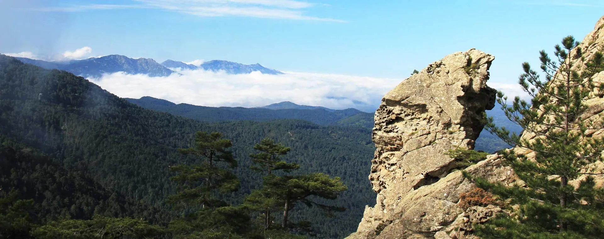 Paysage de Laponie finlandaise - Finlande