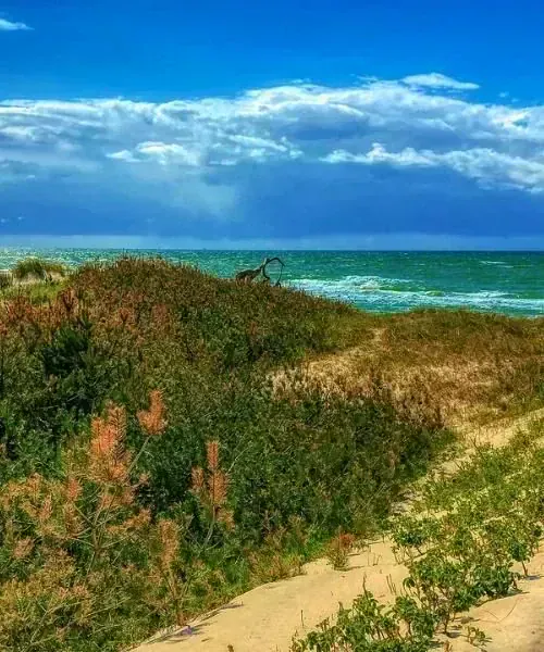 Première montée en ski à Narvik - Norvège