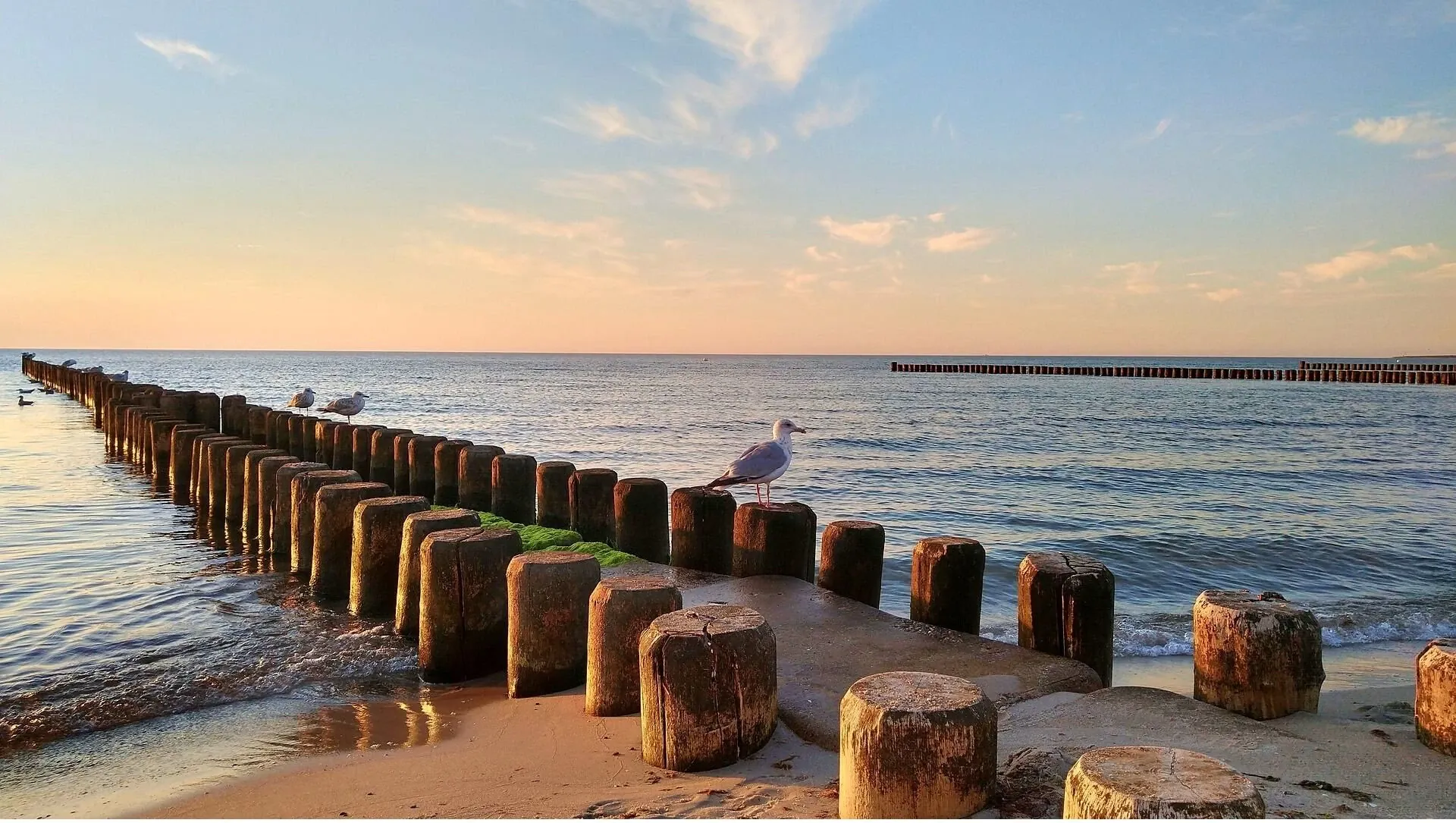 Fischland - Allemagne